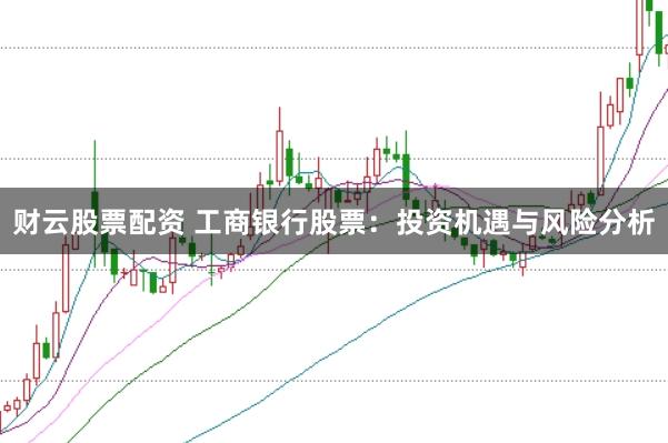 财云股票配资 工商银行股票：投资机遇与风险分析