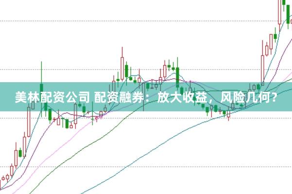 美林配资公司 配资融券：放大收益，风险几何？