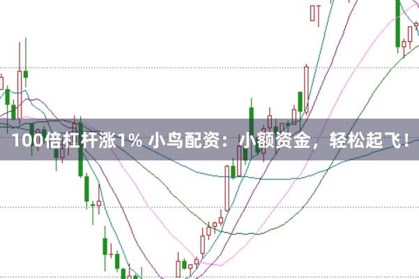 100倍杠杆涨1% 小鸟配资：小额资金，轻松起飞！