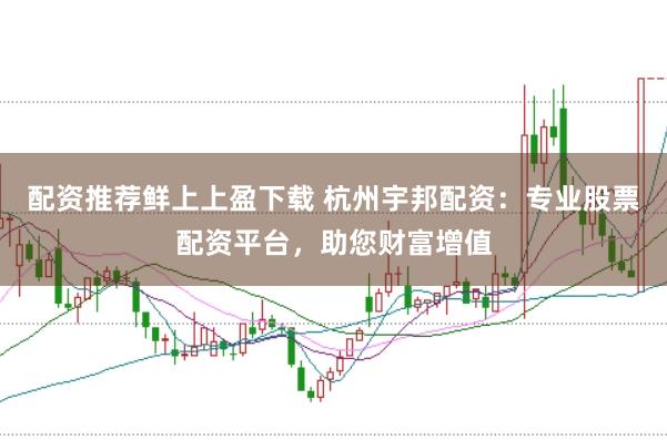 配资推荐鲜上上盈下载 杭州宇邦配资：专业股票配资平台，助您财富增值