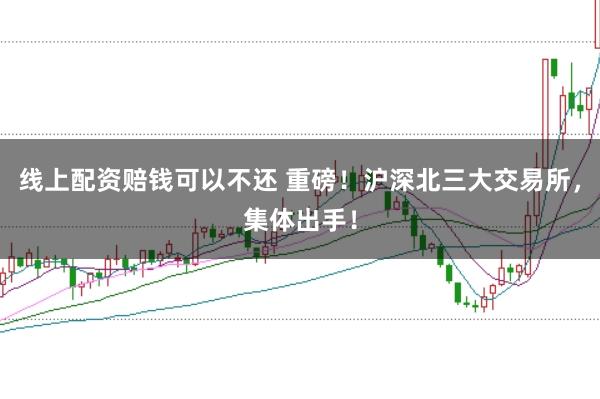 线上配资赔钱可以不还 重磅！沪深北三大交易所，集体出手！