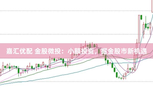 嘉汇优配 金股微投：小额投资，掘金股市新机遇