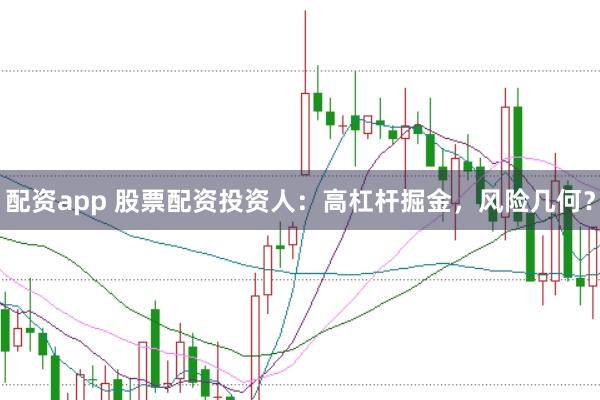 配资app 股票配资投资人：高杠杆掘金，风险几何？
