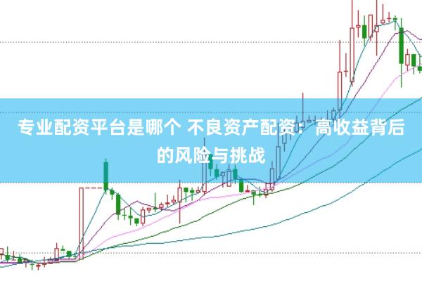 专业配资平台是哪个 不良资产配资：高收益背后的风险与挑战